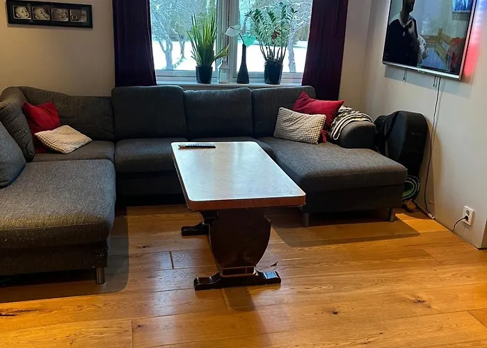 Older With Large Garden